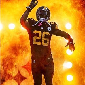 Meet your Posher, Tanner